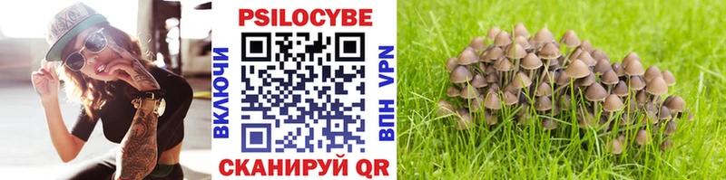 Галлюциногенные грибы мухоморы  Велиж 